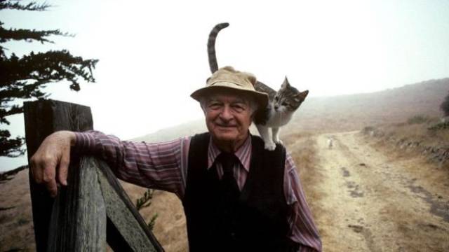 BBC惊爆:你们疯买的保健品,不但没用,还可能