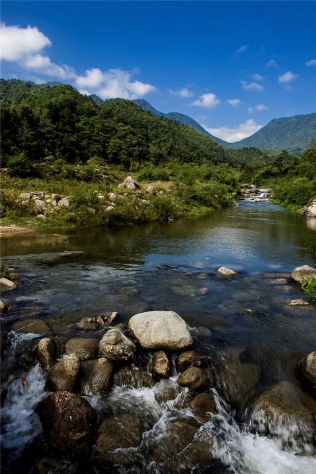 【魅力中国城】大稠顶岳山望军山.怀集山高林峦风景独好