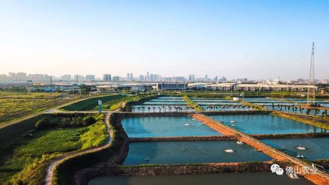 佛山水产养殖