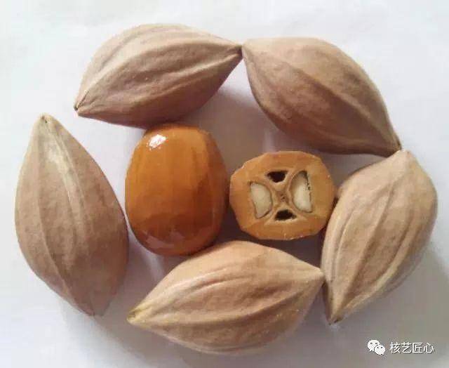 一味的追求四花核的核雕给你带来了什么？