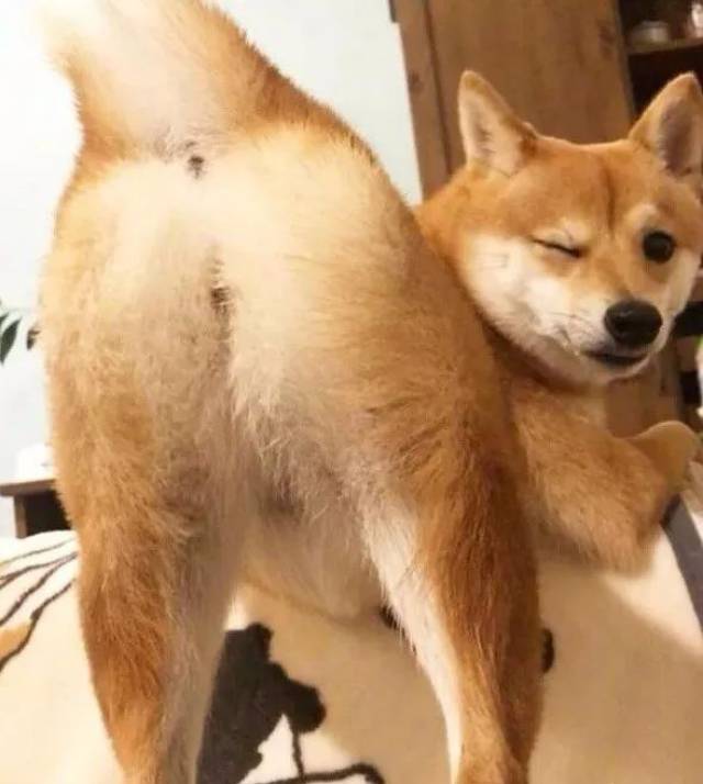 靠眨眼睛强行卖萌
