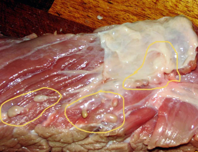 生三文鱼是不敢吃了,生牛肉、生鸡蛋什么的还