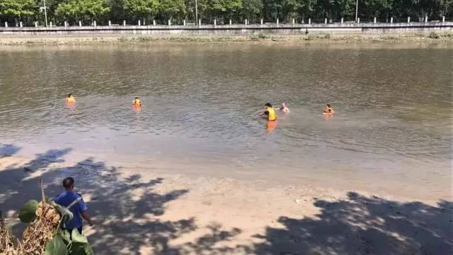 惨清溪小学生相约在池塘游泳两人不慎溺水身亡