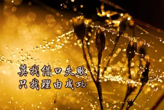 女人奋斗早安心语正能量句子,句句精辟