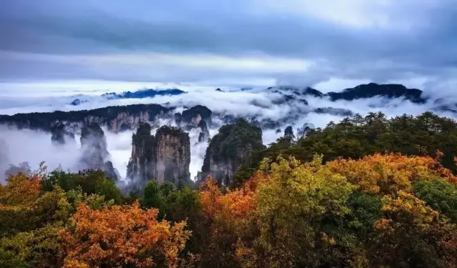 张家界市经济总量_张家界市地图