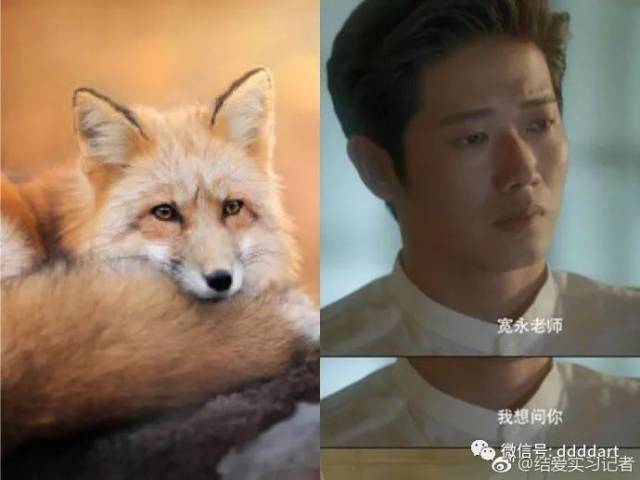 黄景瑜这样的狐系boy才是真正的宝藏男友啊