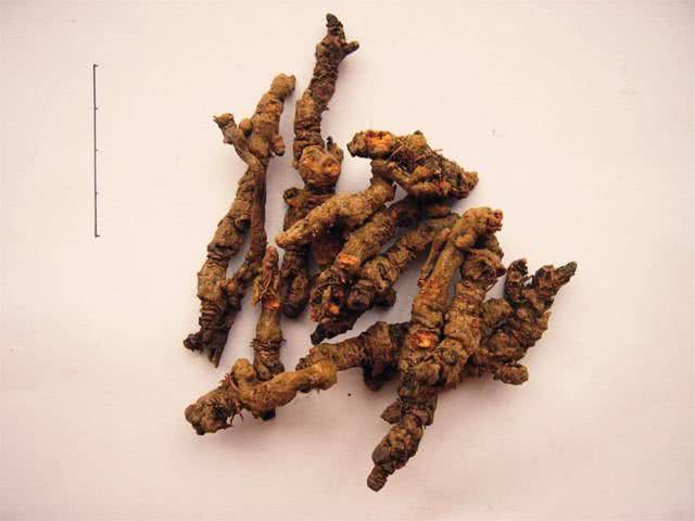 为什么一个简单腹泻,服用了附子理中丸后,会绵