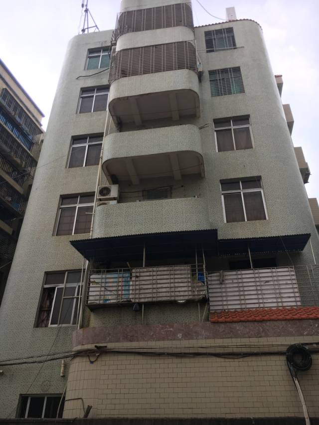 网曝广东徐闻红人:谭国平以及叶语,叶就两兄弟图片