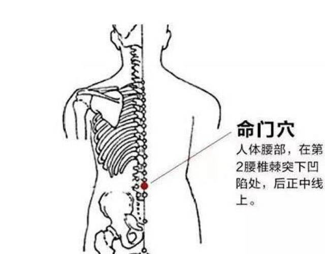 命门穴,男人需要重视的一个滋肾穴位