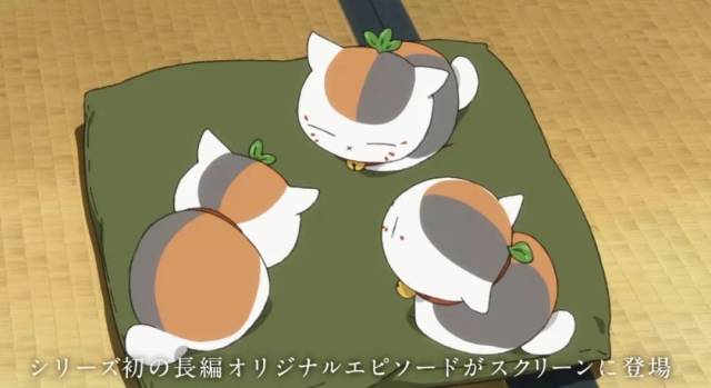 里面赫然出现了三只小猫咪老师!