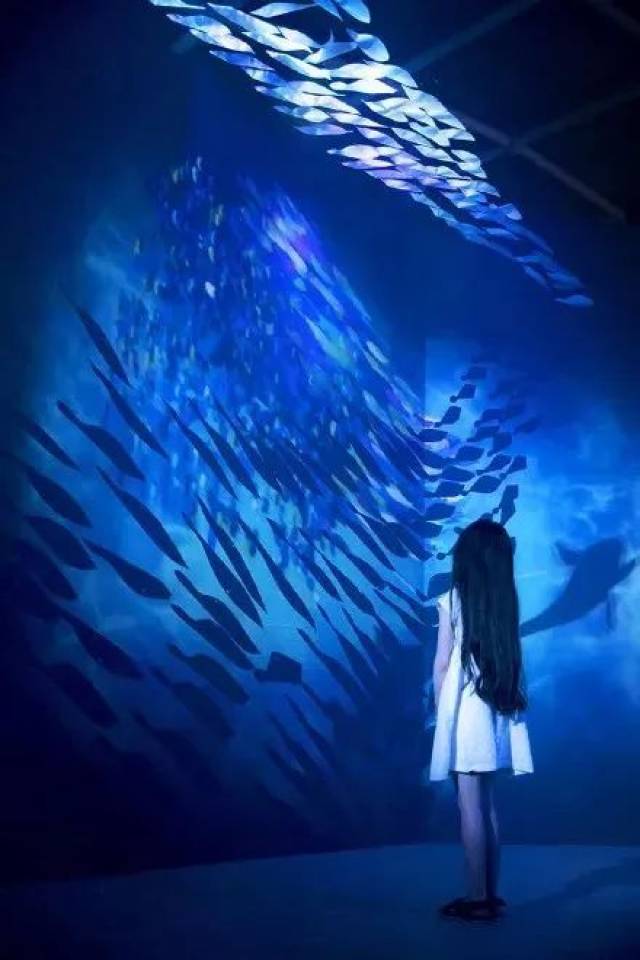 "寻梦海底两万里-深海之光 沉浸式艺术展 aquarium by naked"效果
