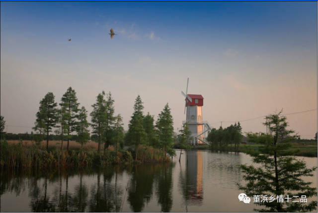 董浜的黄金小玉米节又上市啦!留好肚子,因为现场还有这些好吃吃