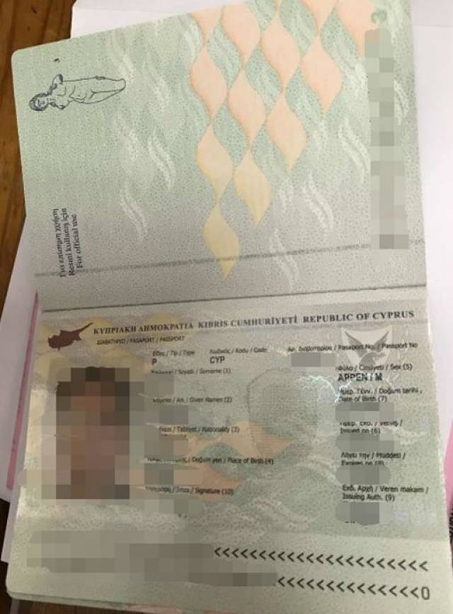 获批后,王先生非常高兴,立即请律师安排了入境取护照的相关事项.