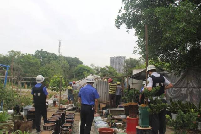 从化街口街依法拆除城南村,赤草村违法搭建物