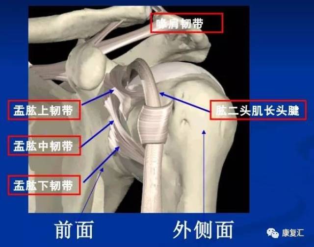 肩袖损伤根据部位分为:滑囊侧,关节侧及肌腱内损伤