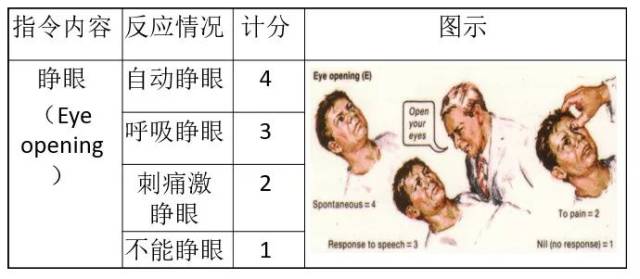 中昏迷:对各种刺激均无反应,对强烈刺激的防御反射,角膜和瞳孔对光