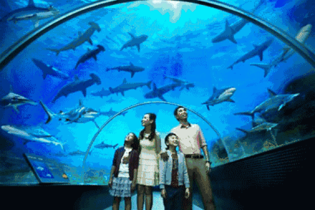 a.海洋馆 拥有海洋馆和水族观景窗.