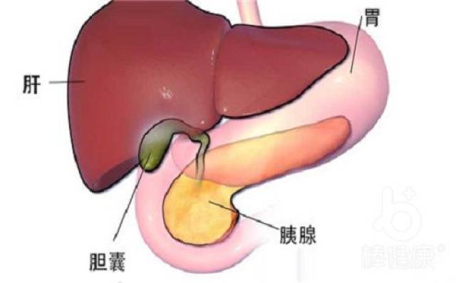 传说中的"饿的胆囊疼",了解一下!