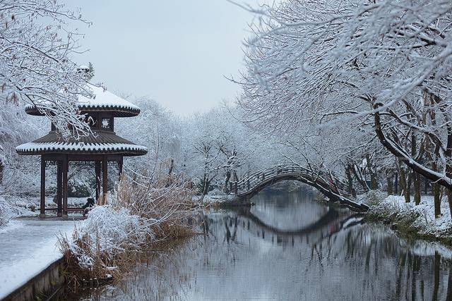 春生夏长,如此炎热的夏天,不妨来看看庭院雪景,清净你