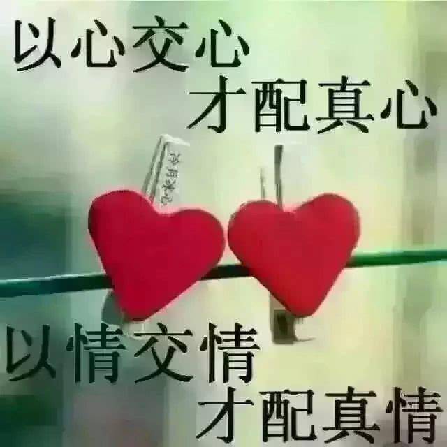 遇见你,不用邀约,爱上你,莫问缘由,就这样,无怨无悔,就这样,心甘情愿