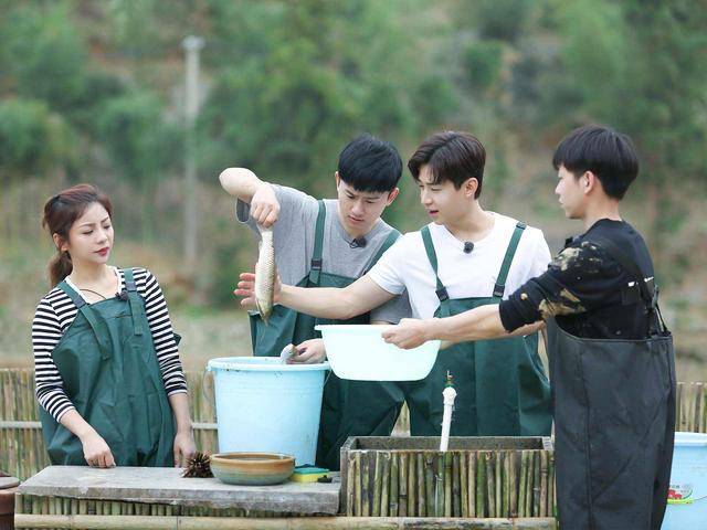 从音乐天才少年到被群嘲,刘宪华到底为什么被