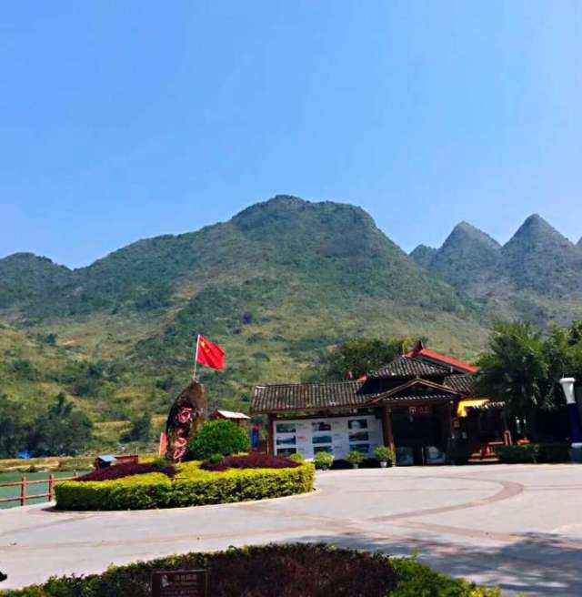 夏天到巴马长寿之乡旅游, 我最喜欢的一道菜, 越吃越过瘾
