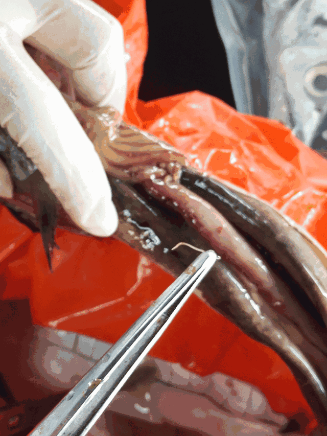 640_853 竖版 竖屏 gif 动态图 动图