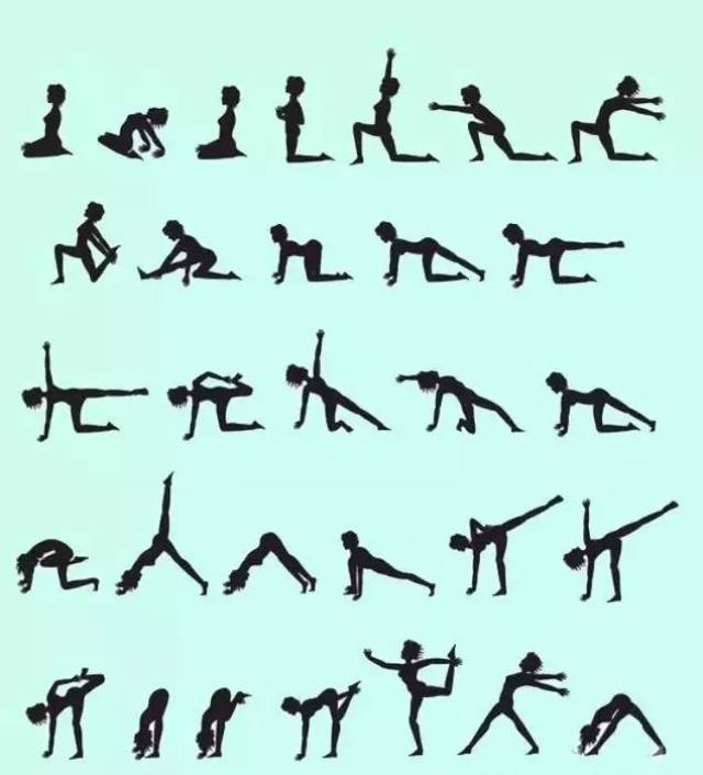 珍贵的流瑜伽体式编排图