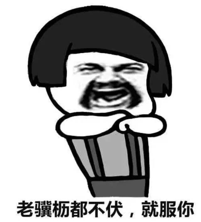 搞笑频道-手机搜狐