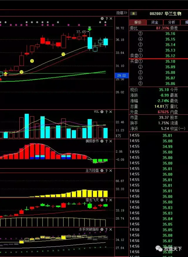 个股——中炬高新(600872),产能有序投放支撑收入较快增长,高roe可享