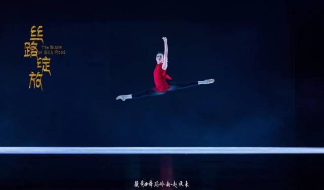 星海音乐学院丝路舞蹈团舞蹈基础专场绽放广免费平面设计青年实用教程图片