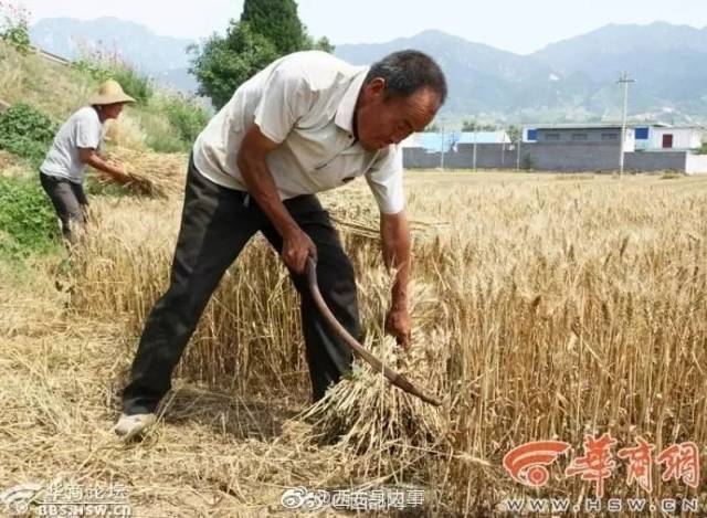 最陕西|新西安市民4次摇号买房未中 想迁回原籍