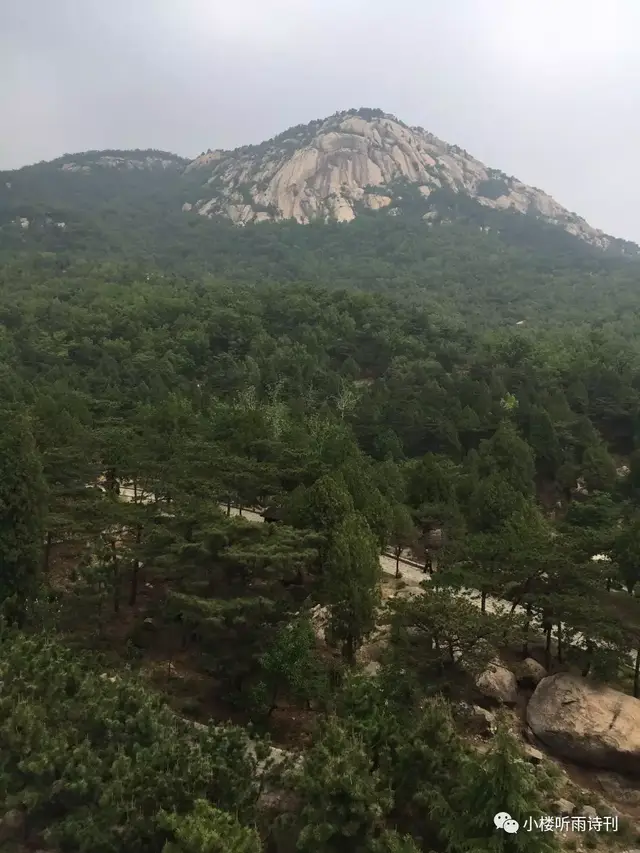 潘泓 山东新泰行七律七首