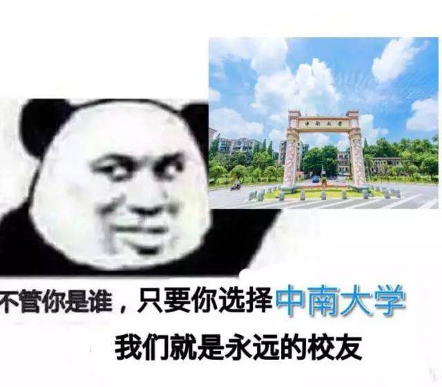 pick中南大学!为你准备了"101"个表情包!