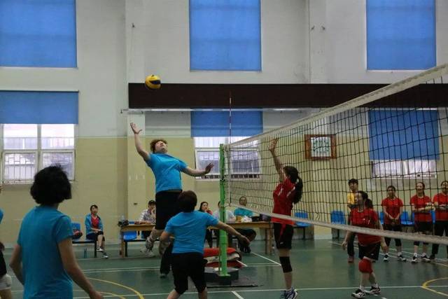 2018年洛阳市全民健身月排球比赛圆满落幕