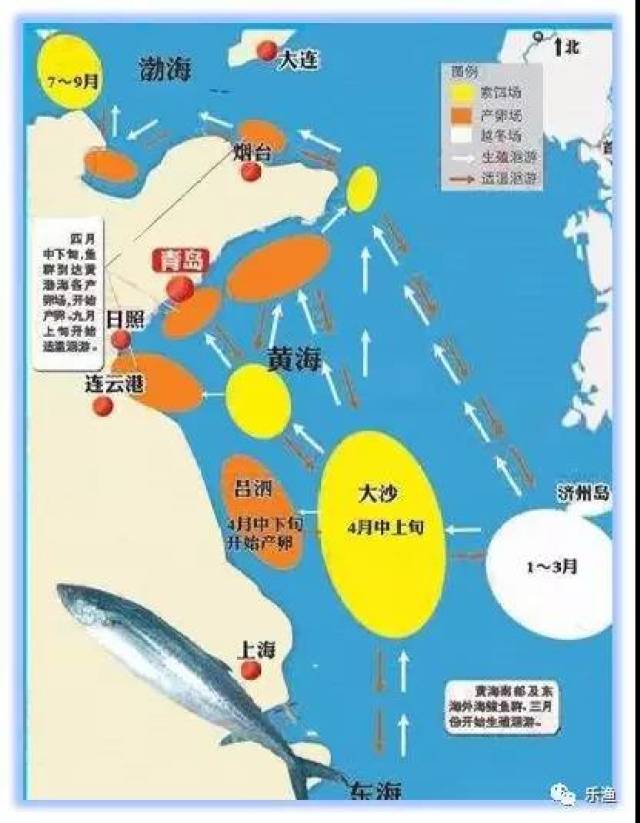主要有海洋岛,连青石,大沙及沙外等渔场.