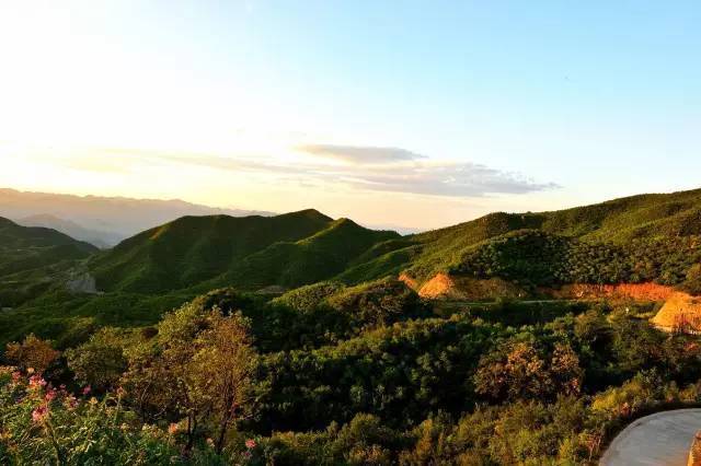 4公里,春季妙峰山路开满了漫山遍野的花,自驾或者骑行都是最美的享受.