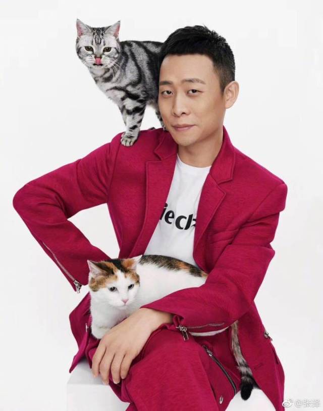张译晒背猫照,网友注意力却都在第四张:确定不是背的孙红雷吗?