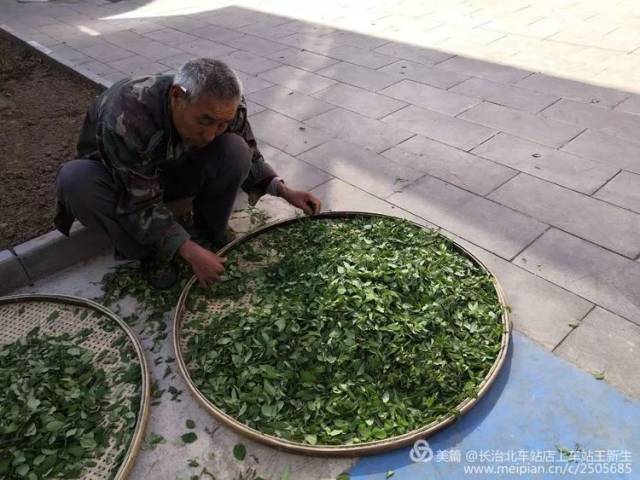 屯留县八泉村"盘秀山连翘茶,盘秀山小白蒿茶""菌陈"茶