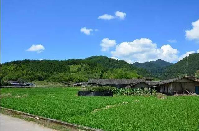 田溪村位于浏阳市张坊镇东北部,大围山国家旅游示范区的核心区,是独特