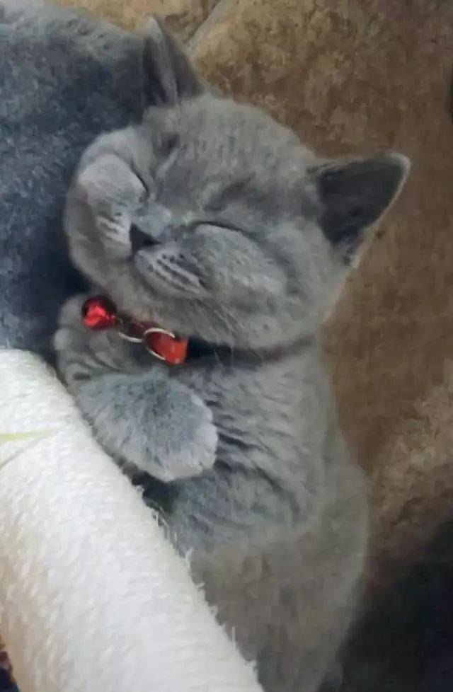:öС!