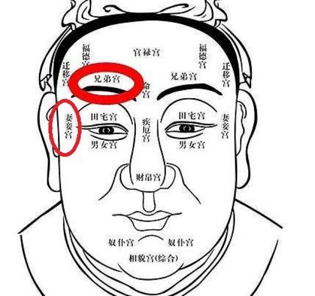 人的双眉在传统相学里为面相十二宫里的兄弟宫,民间相术中因为双眉