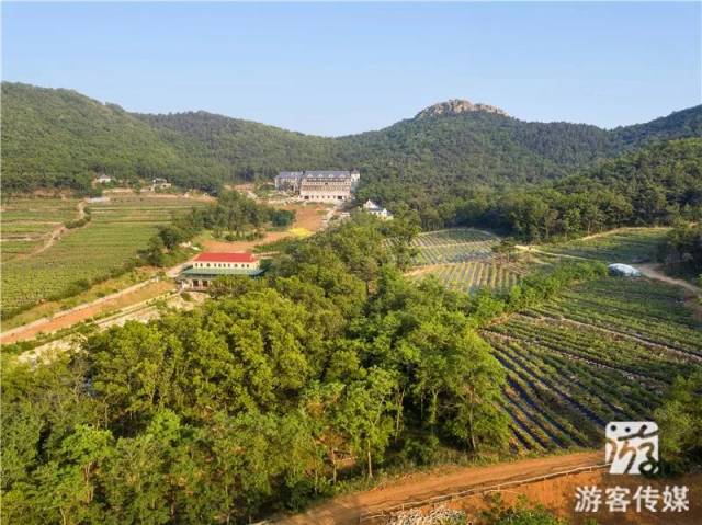 辽宁旅游推荐|金石蓝莓谷庄园