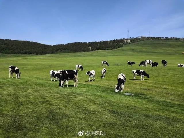 三寰牧场属原生态山林文旅复合型牧场,三面环山,林木葱郁,繁花似锦