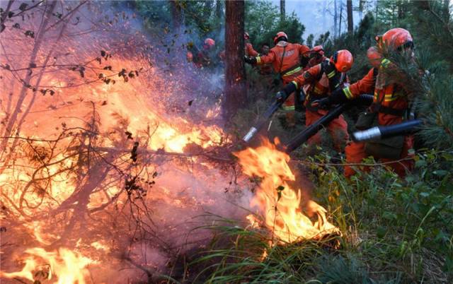 辛苦了!致敬扑火英雄