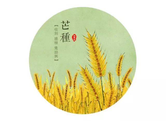 「芒种」6个问题6首诗,带孩子过芒种