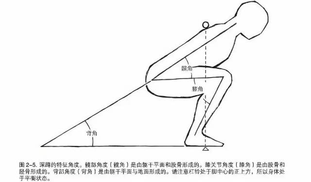 拿深蹲这个动作举例