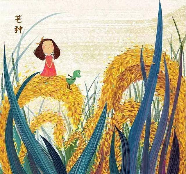 今日芒种!在这段辛劳的日子里,请记住这个养生要点