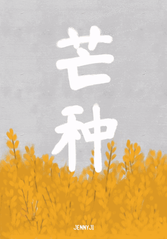 芒种--中华