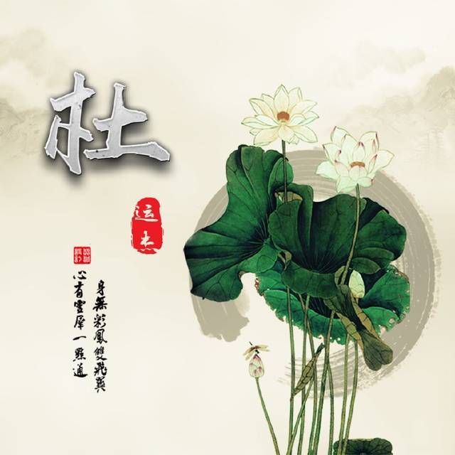 16张佛伴我心头像,16张锁屏壁纸,15张荷花头像,一定不